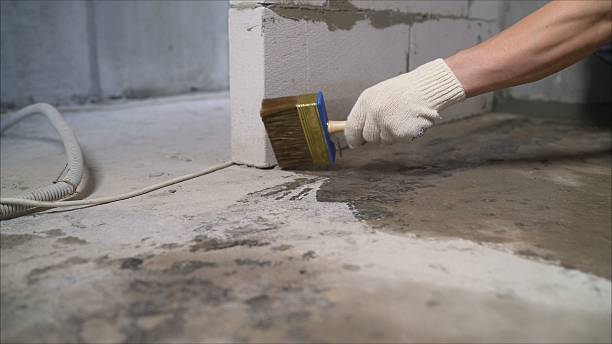 SJ Waterproofing Pros Emergency Waterproofing coverage map for East Leroy, MI and surrounding area